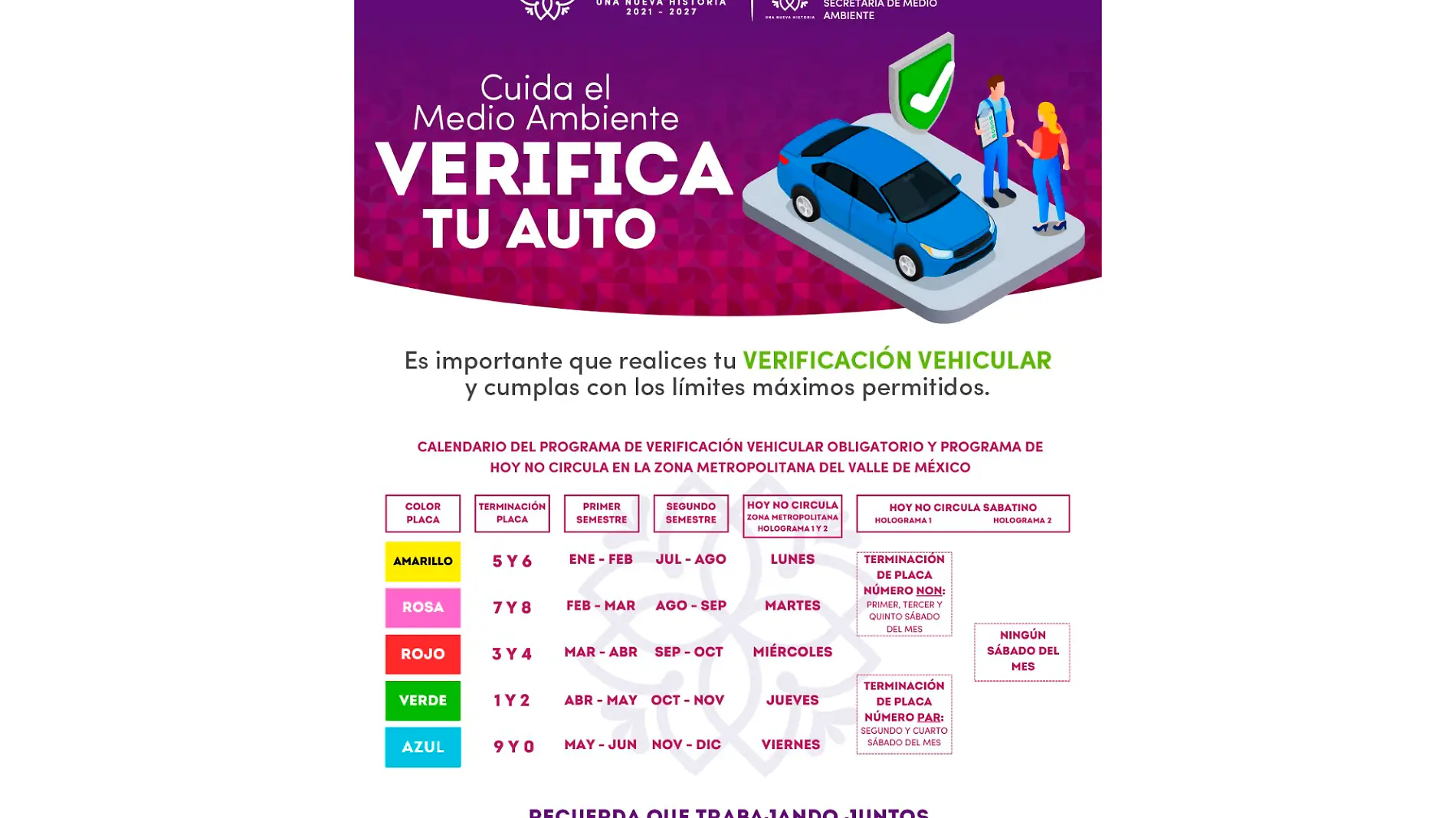 verificación vehicular cartel